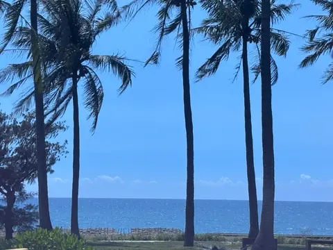 南下恆春途中的海岸，椰子樹後方是藍色的海與天空