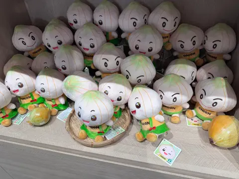 一整排洋蔥造型的絨毛娃娃