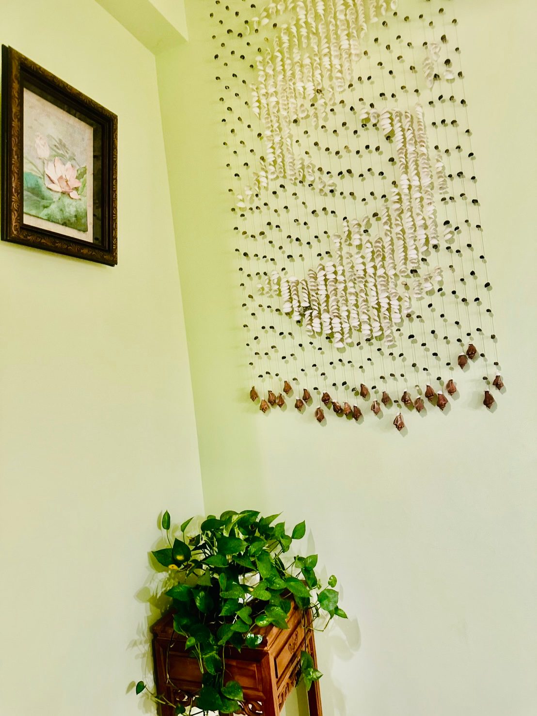 Dream Come True Guesthouse