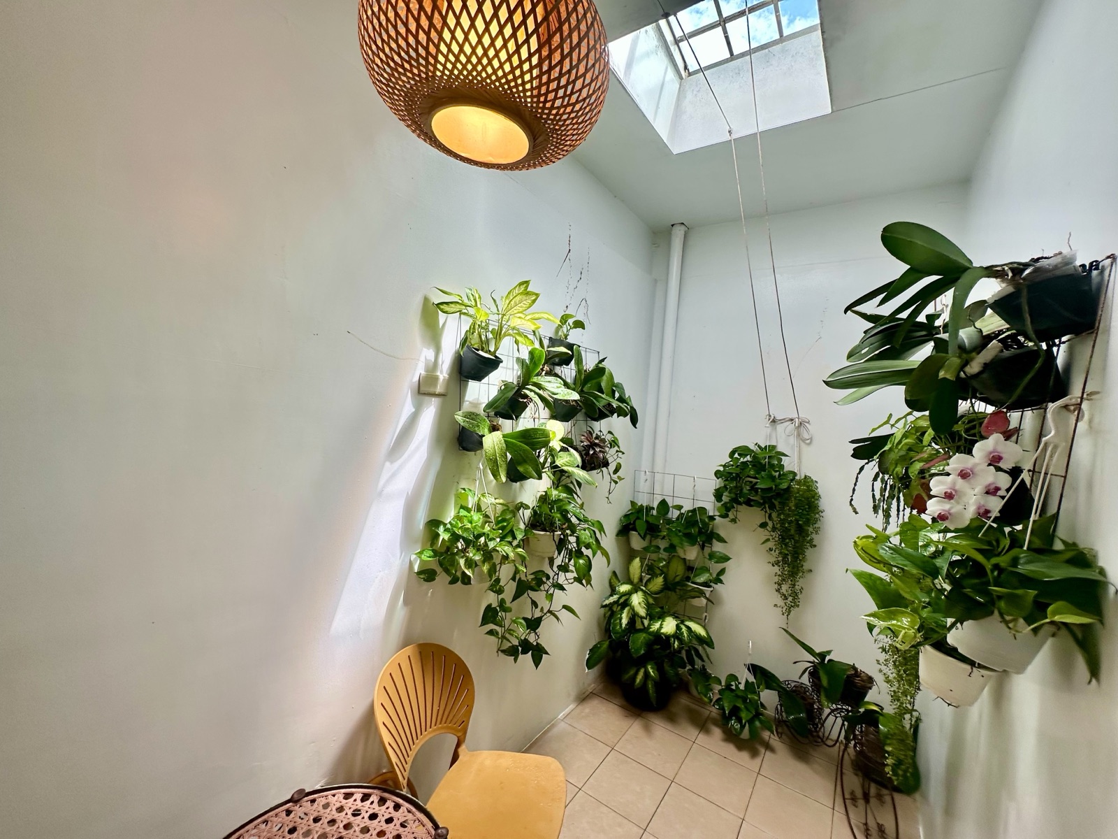 Secret Garden Triple Room 5